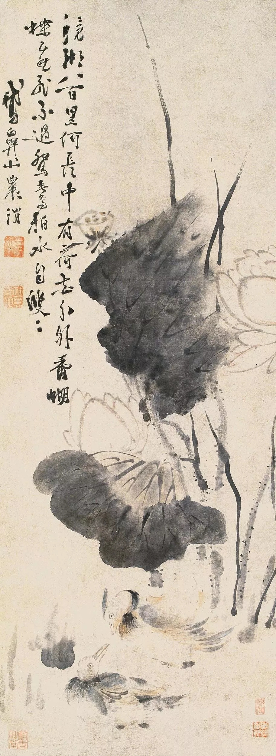 徐渭 荷花鸳鸯