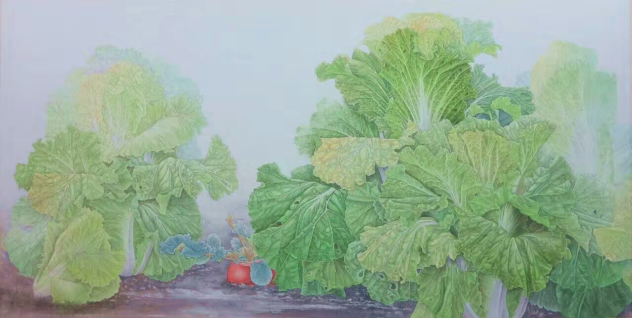 工笔白菜的绘制步骤傅饶