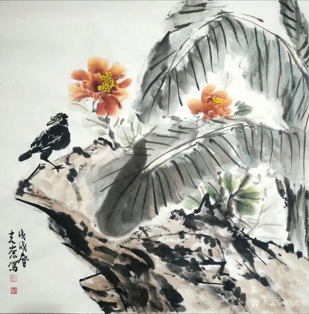 人们常说:燕雀安知鸿鹄之志哉!那鸿鹄又【图0】