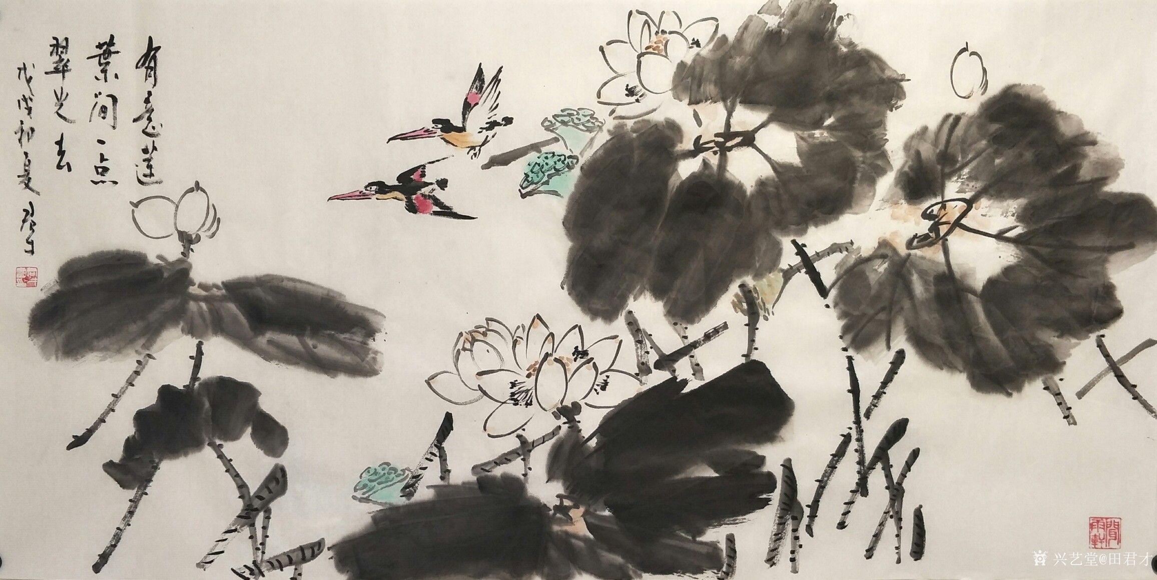一组国画大写意荷花