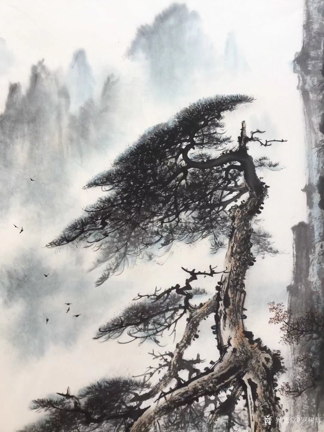 罗树辉日记-国画山水画新作欣赏《道骨仙风》,悬崖峭壁之上,还有谁能