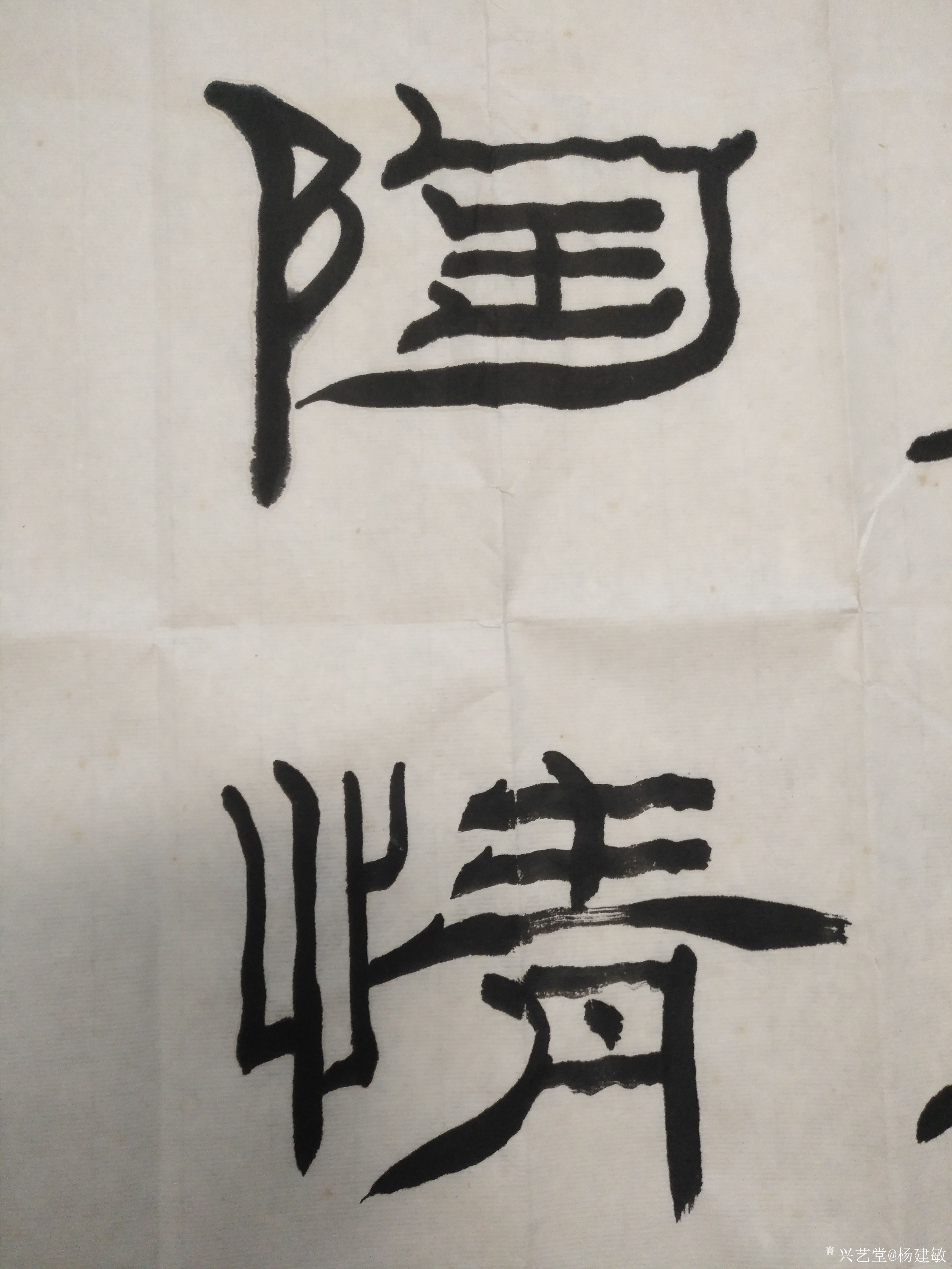 杨建敏书法作品《隶书梅兰(未装裱)》