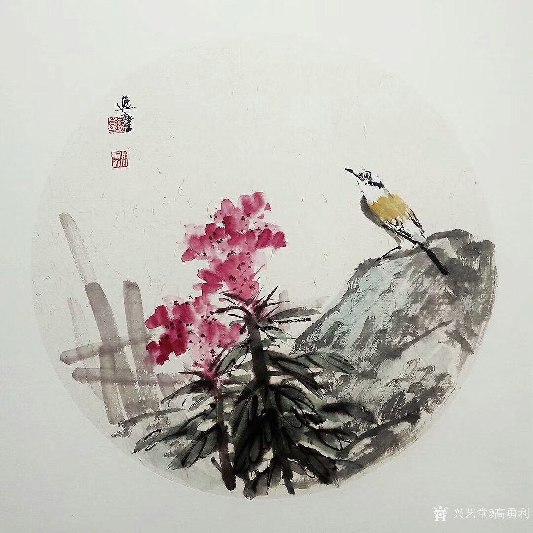 高勇利日记:国画花鸟小品一组《鸢尾》《紫藤