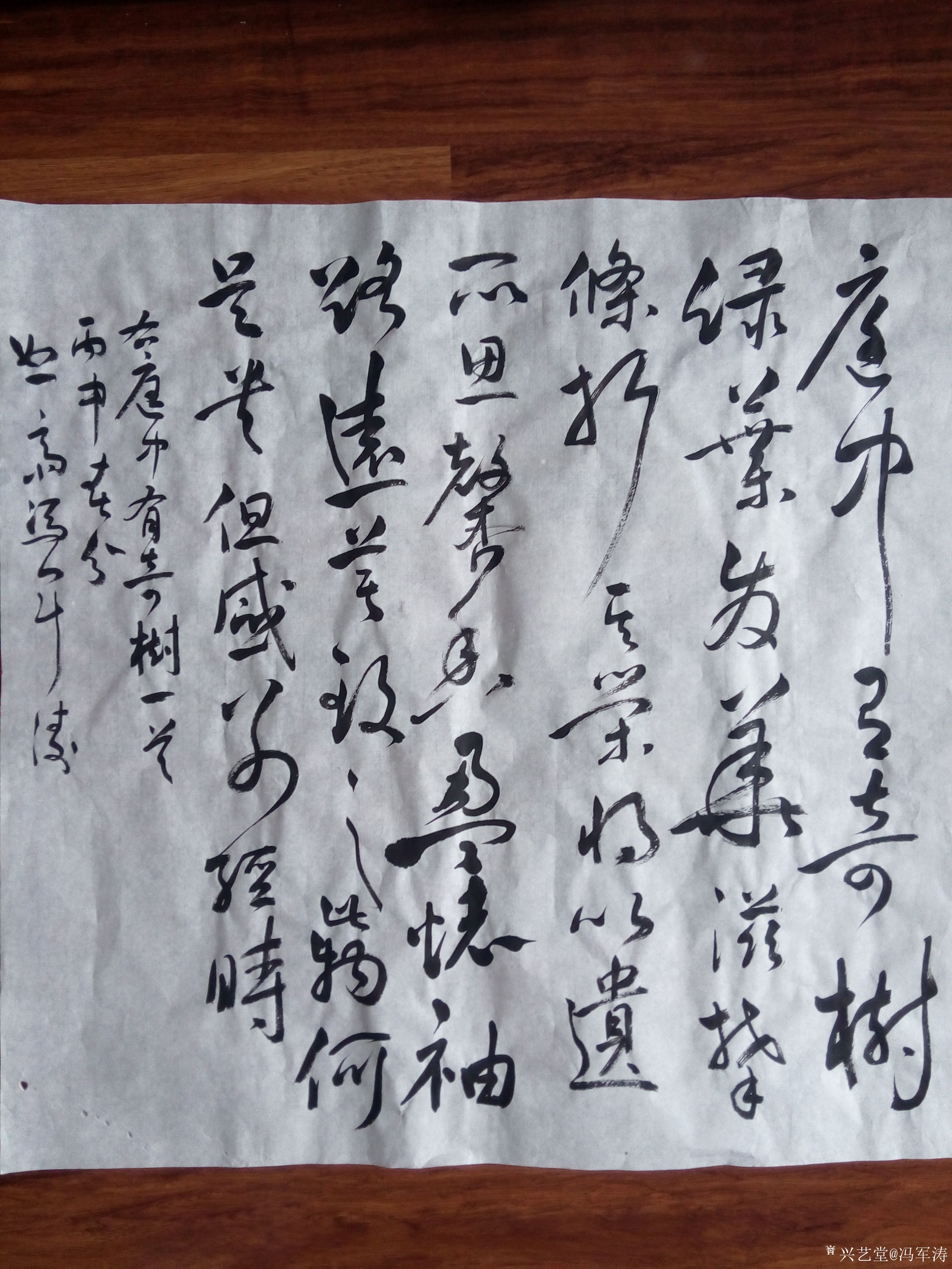 冯军涛日记-庭中有奇树,绿叶发华滋.古诗十九首之一两年前作!【图1】