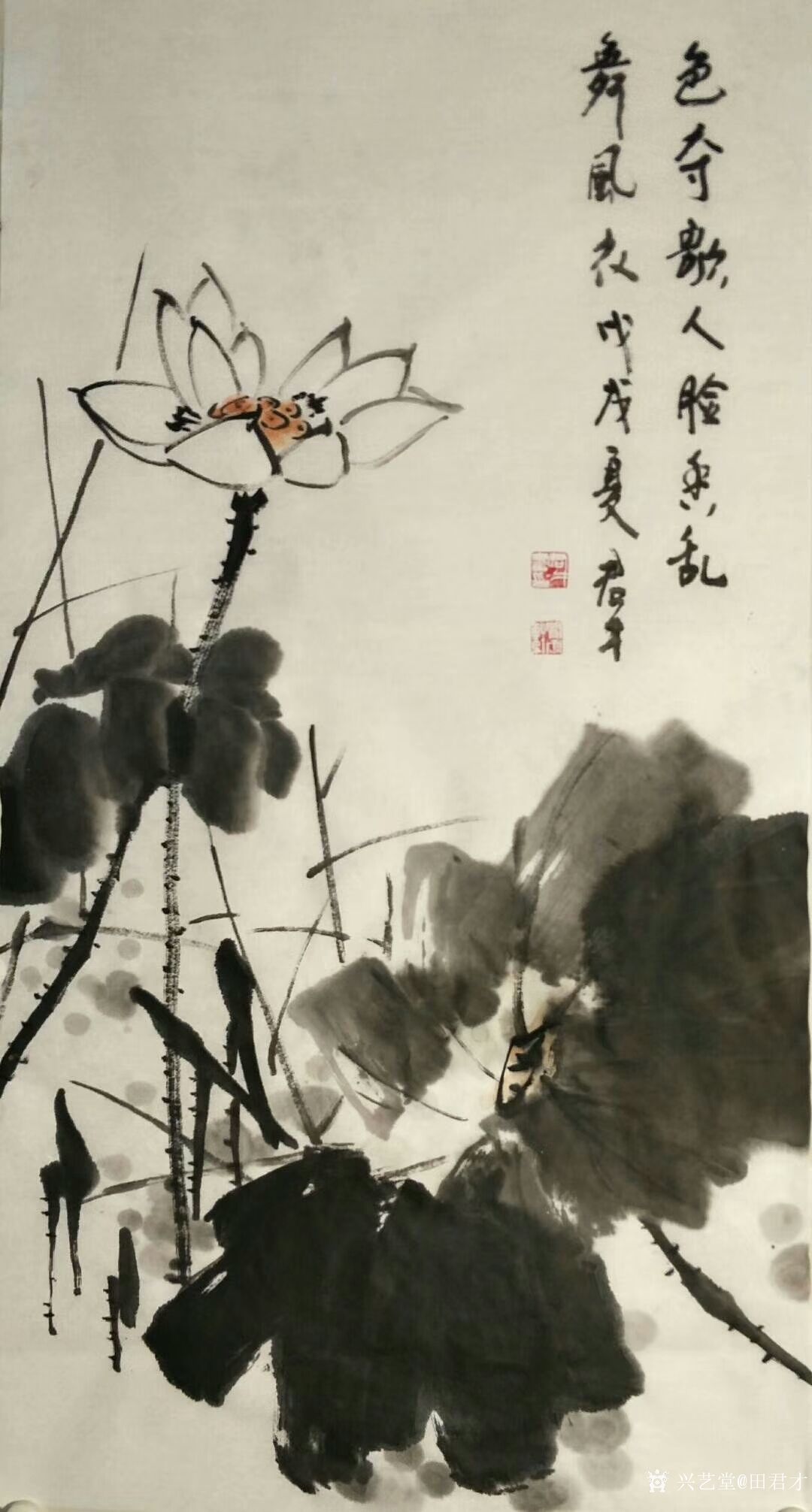 田君才日记-国画花鸟画～荷花系列《色夺歌人脸,香乱舞衣风》《雨后》