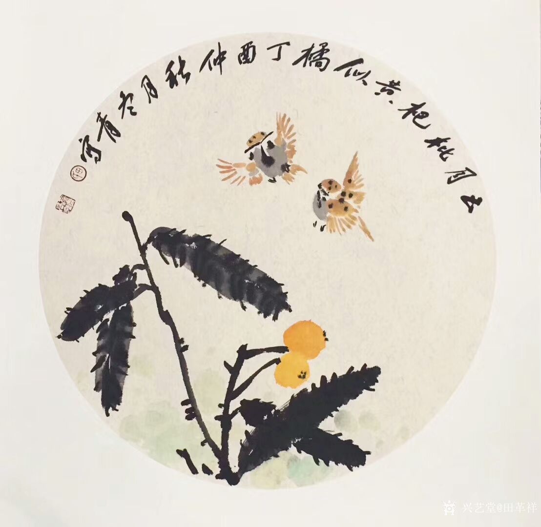 田革祥日记-《正月枇杷黄似橘》《金风初下菊花黄》国画花鸟画小品一