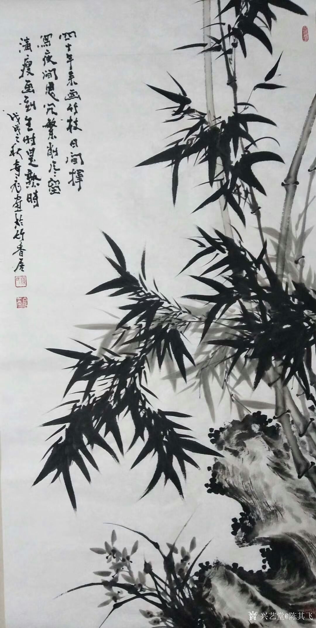 艺术家陈其飞日记:国画花鸟画竹系列作品欣赏《四十年来画竹枝,日间挥