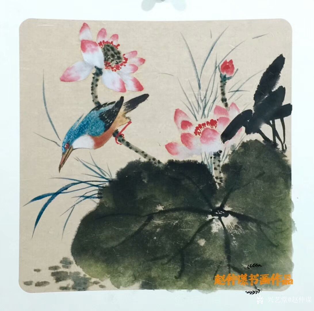 赵仲谋日记:晒一组国画花鸟画小品,荷花配翠鸟图,荷花