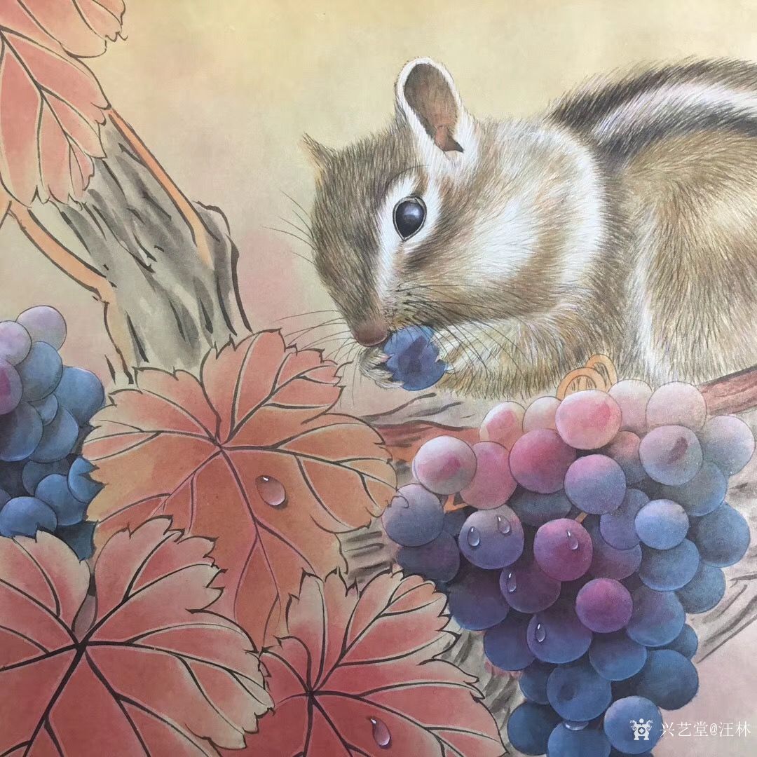 汪林日记:新作国画工笔画《松鼠葡萄》尺寸60×60cm《猫咪荷花,_兴