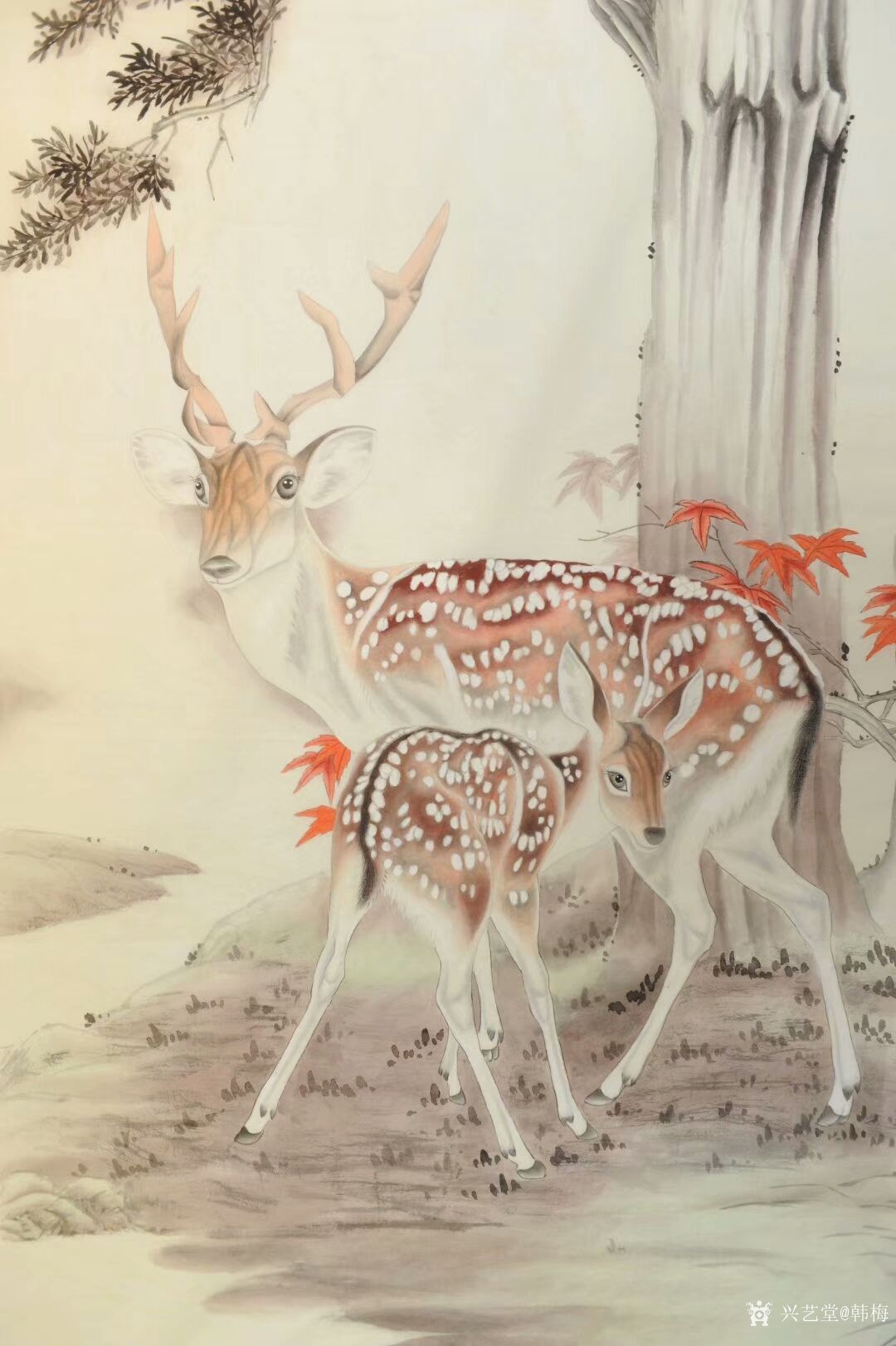 韩梅日记:新作工笔画梅花鹿《福禄寿喜图》