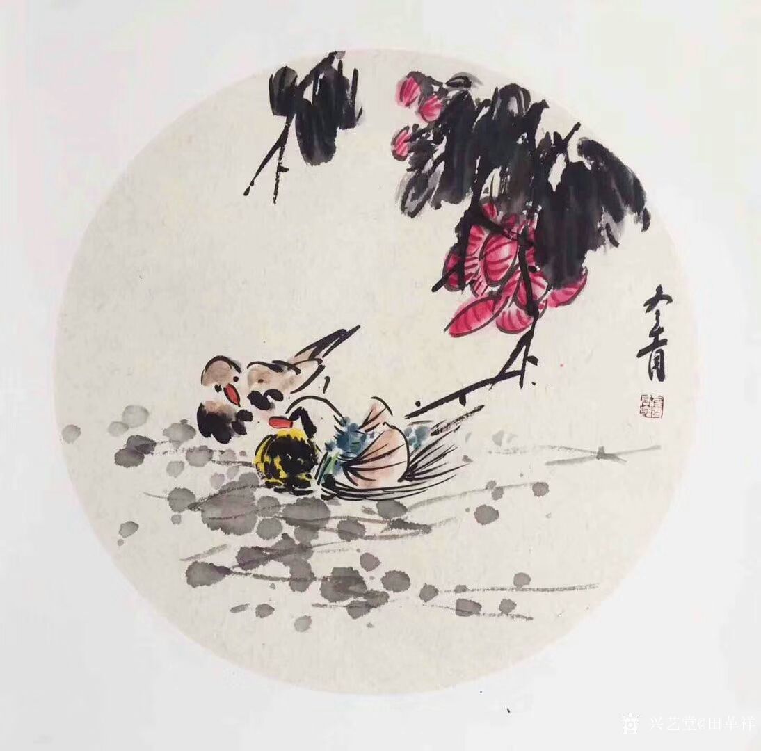 田革祥日记:发一组国画花鸟画小品,请欣赏