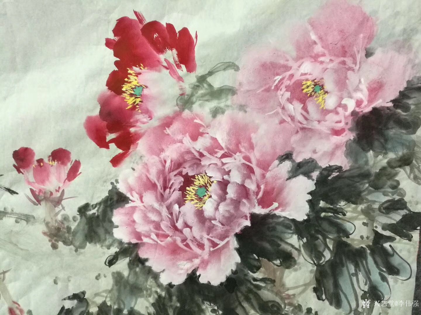 李伟强-国画牡丹画作品《粉香云暖》,尺寸四尺横幅