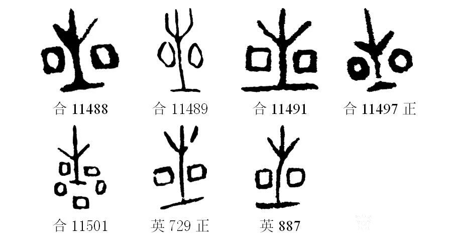 兴艺空间 杨牧青日志专栏 日志-11409    解字来源某甲骨文