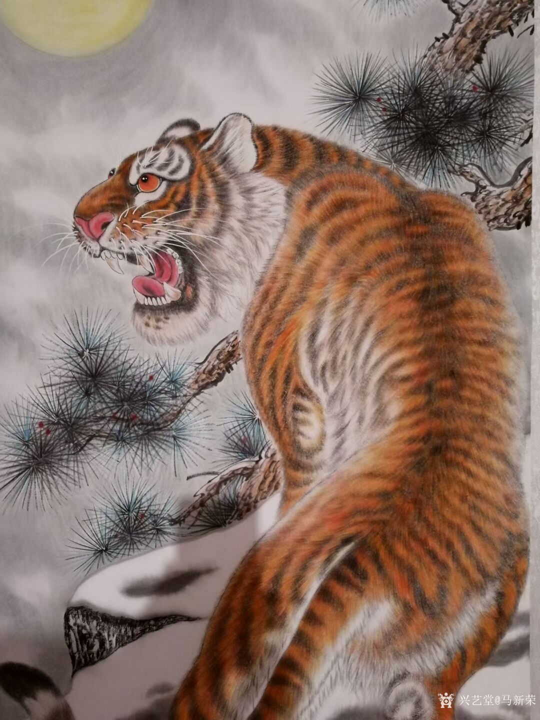 马新荣日记:国画工笔动物画上山虎中堂画,尺