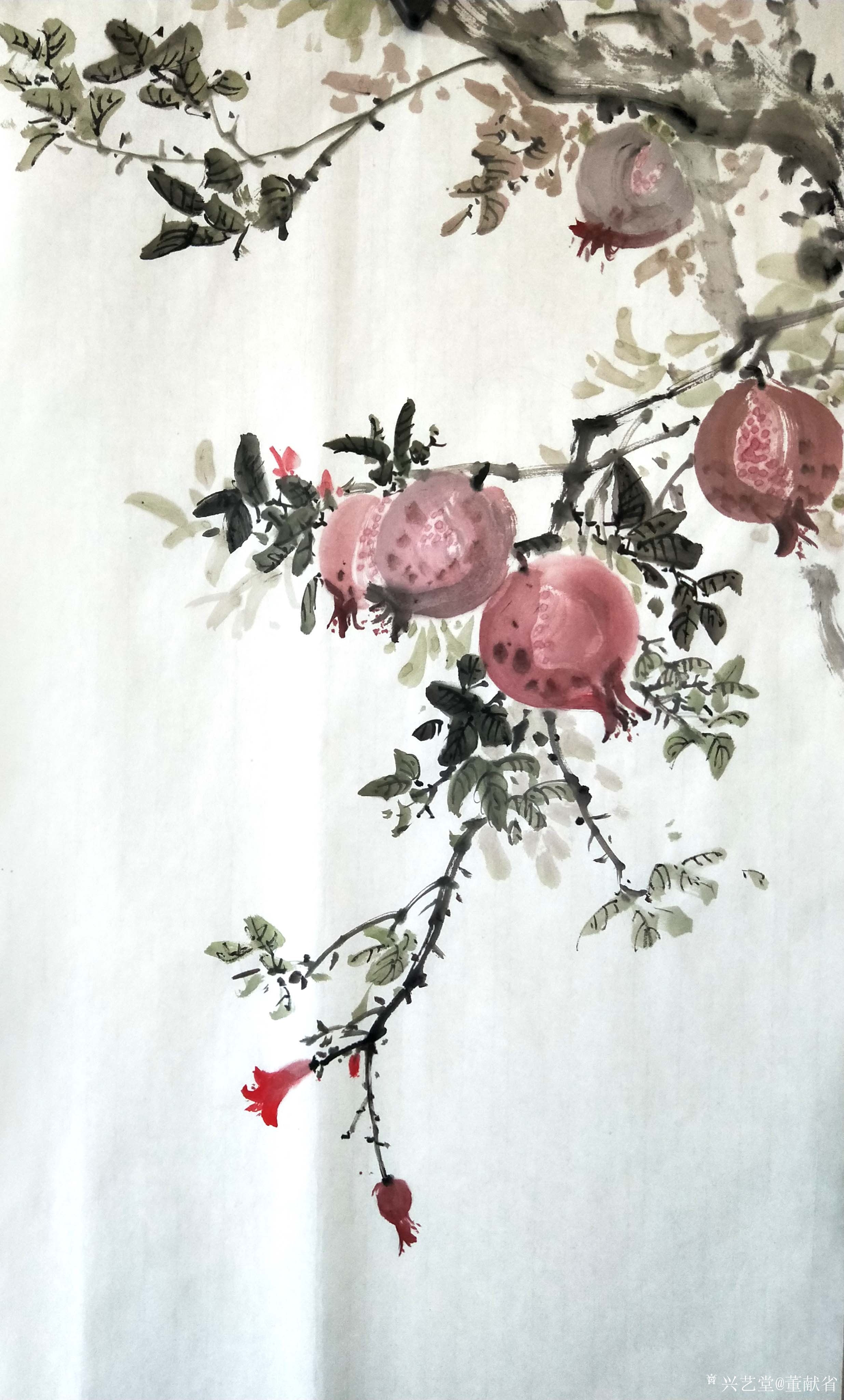 国画花鸟画《山石榴》