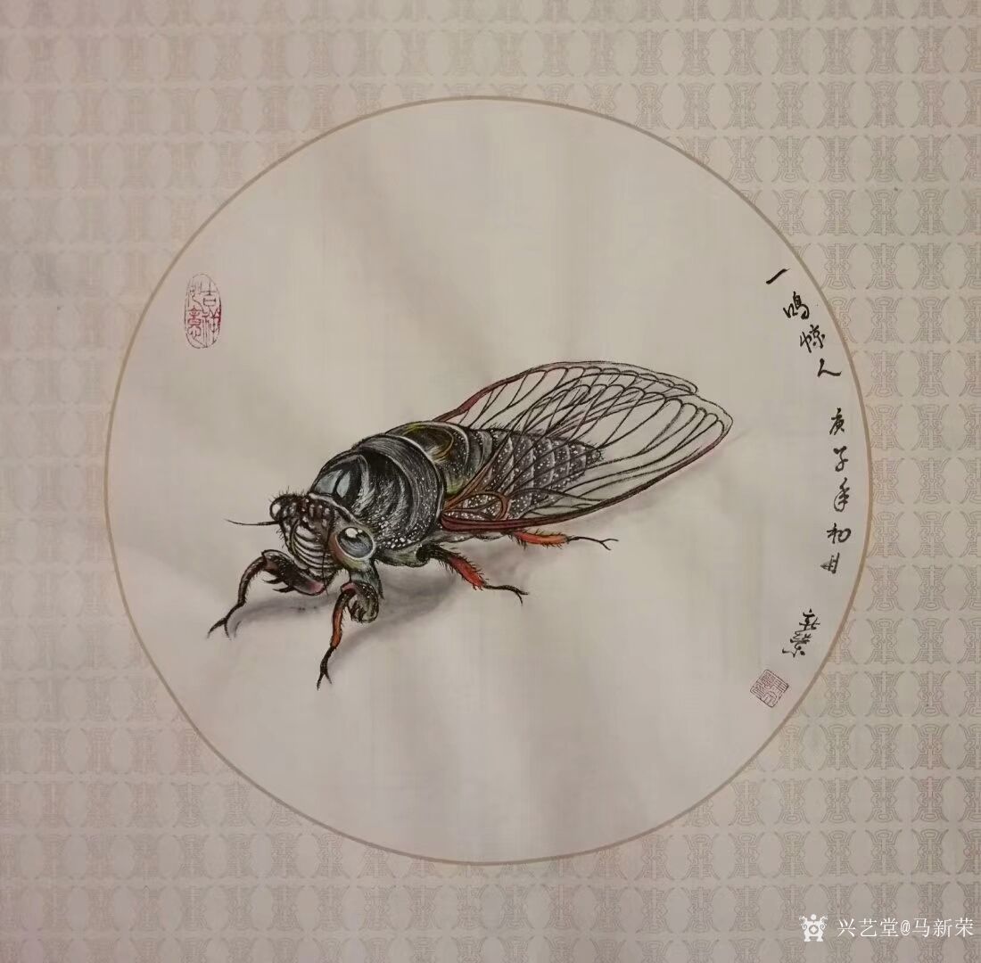 《旺财图》国画工笔动物画作品蝉《一鸣惊人》;国画【图2】