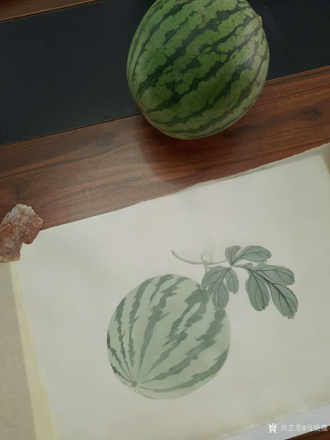 马晓薇日记-为学员示范水果国画白描写生画法;西瓜写生,葡萄写生;【图