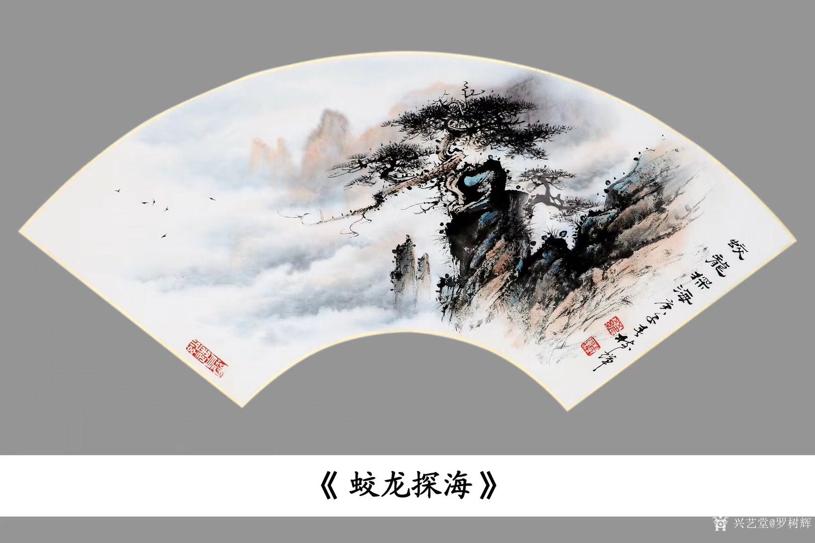 国画山水画松树扇面作品《蛟龙探海》《金龙探爪》
