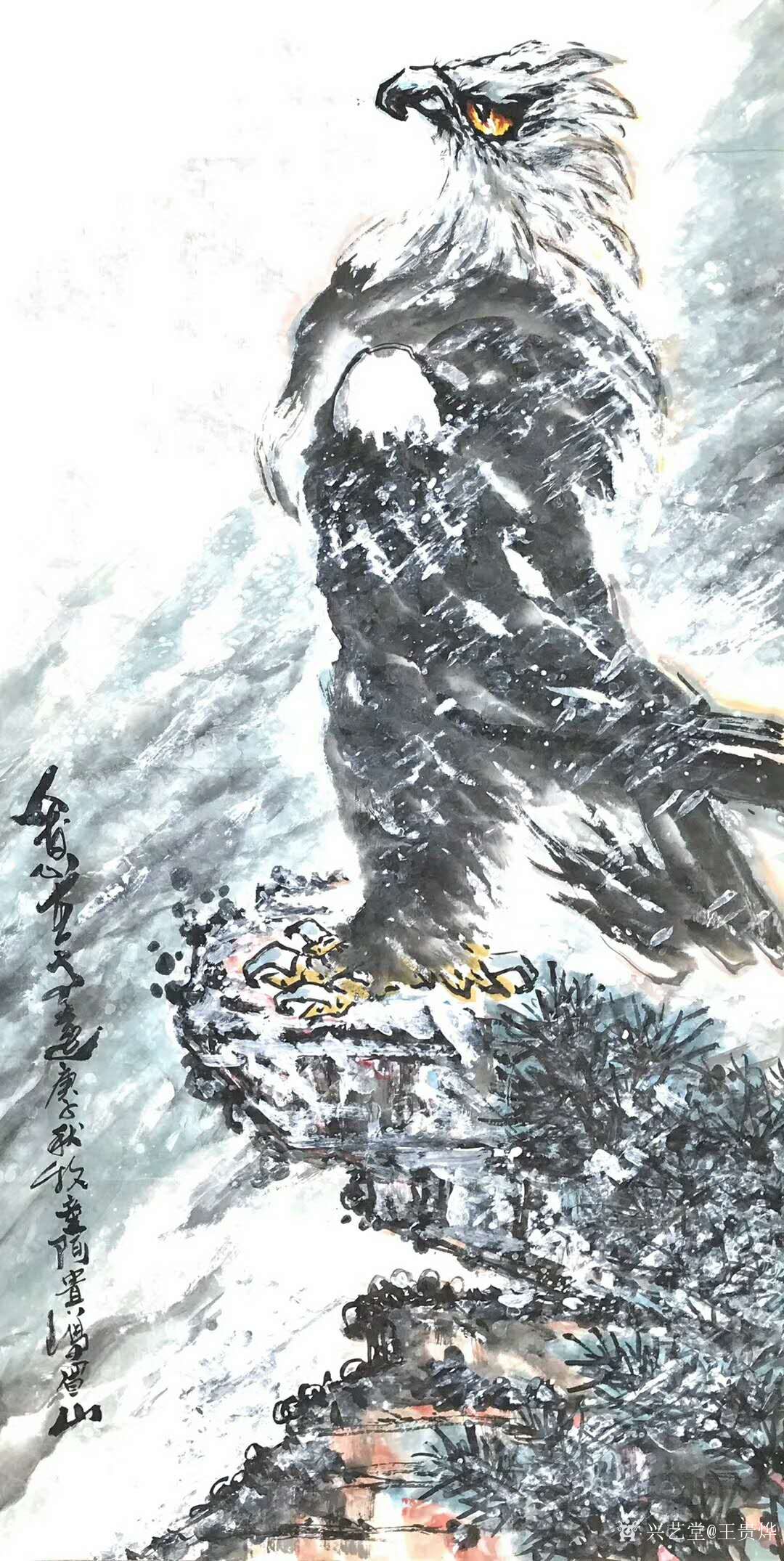 国画动物画老鹰系列作品《远瞻山河》《秋鹰整翮当云霄》;庚子年夏月