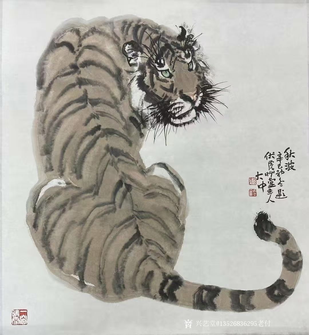 13526836295老付收藏:国画《秋波》四尺斗方写意虎.辛