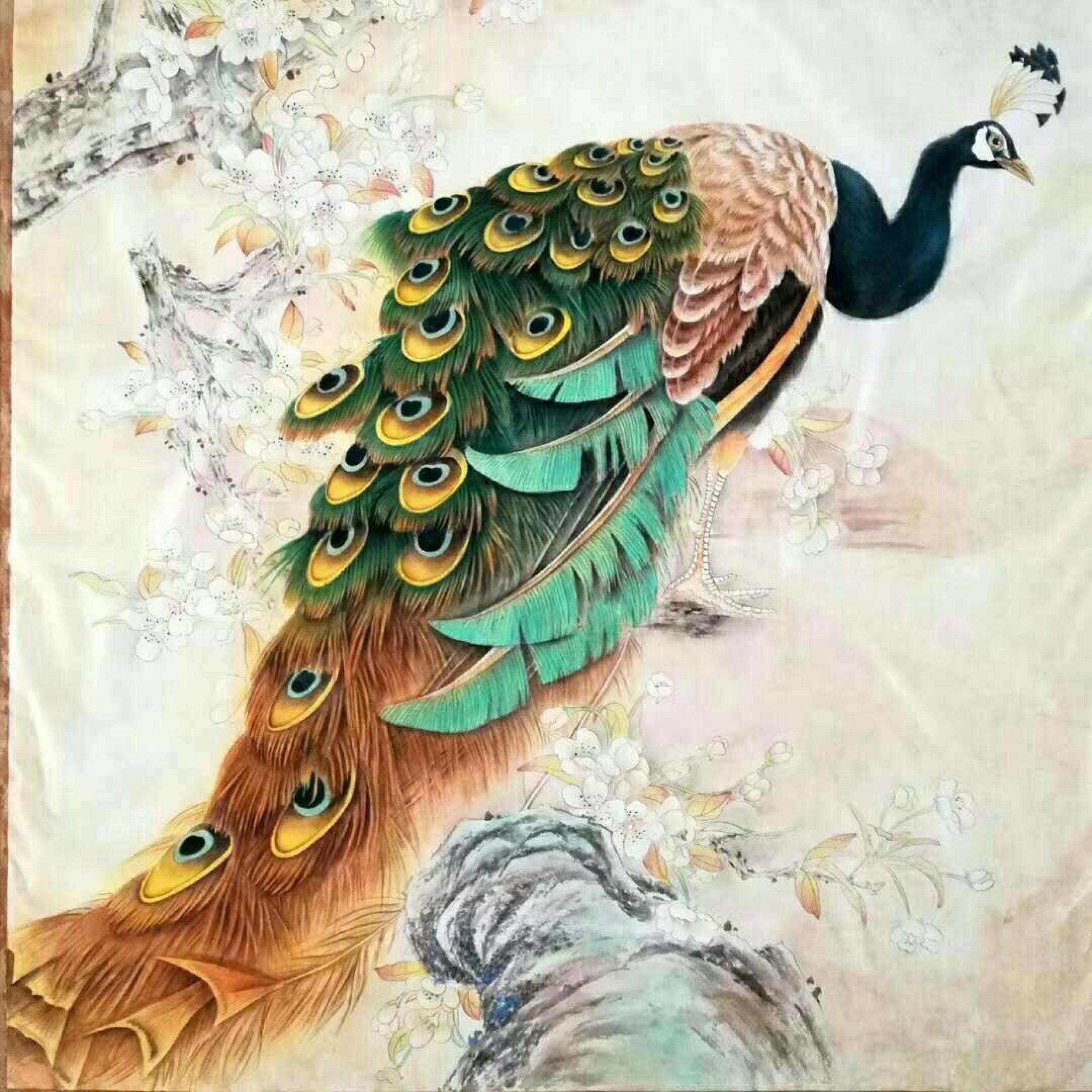 石海博藏宝-精品工笔画《孔雀》,客户订制稿完工,新年新气象,恭祝新年