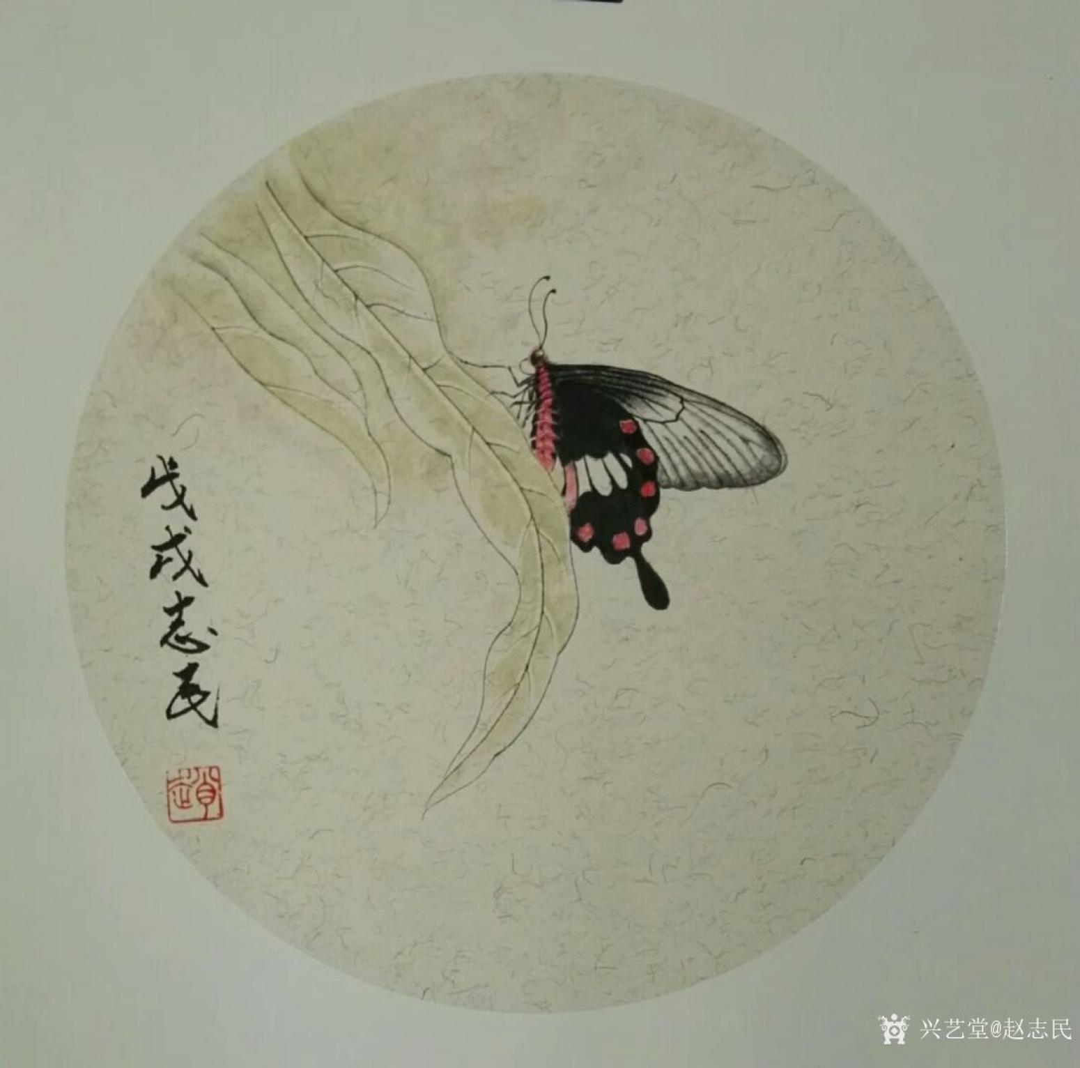 赵志民国画作品《蝴蝶》
