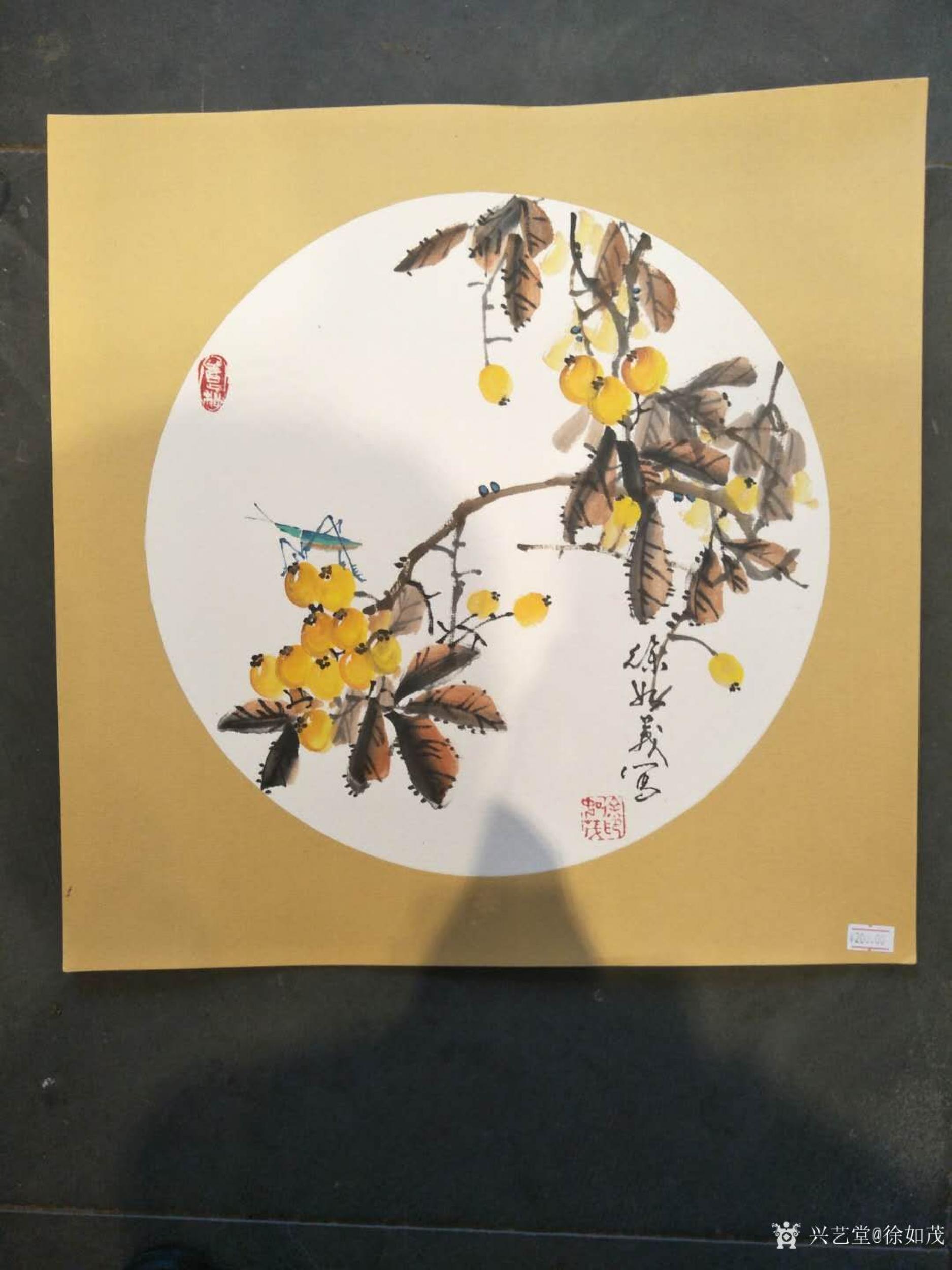 国画写意花鸟斗方作品《金玉满堂》,《梅花牡丹争艳》,《枇杷熟了》