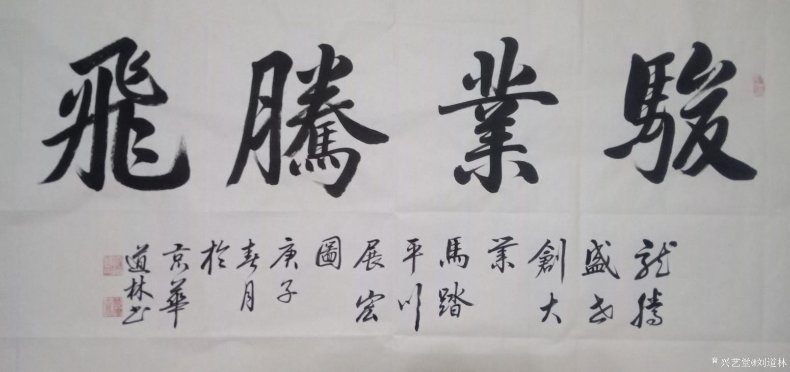刘道林书法作品《骏业腾飞》