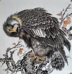 艺术品图片：艺术家谷风国画作品名称《鹰-凝视》价格800.00 元