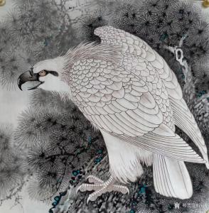 艺术品图片：艺术家谷风国画作品名称《白毛鹰2》价格800.00 元