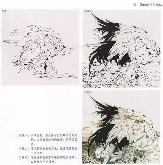 国画仙鹤羽毛绘画技法