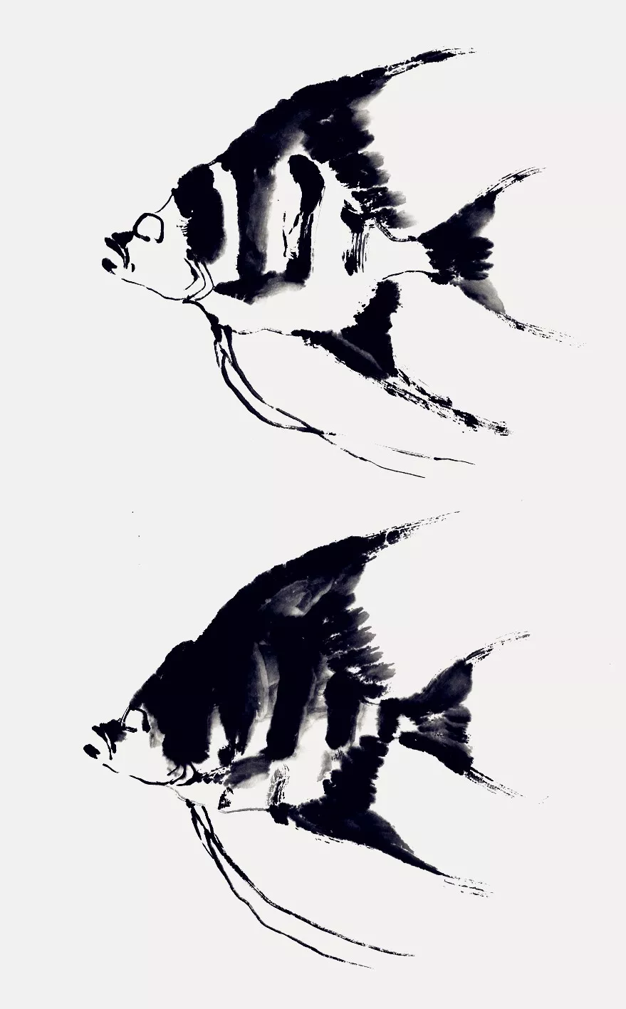 神仙鱼画法