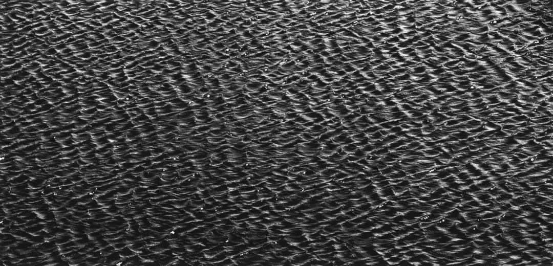 陈琦作品：《1912》1912 水印版画 Woodblock Print 180cm×380cm 2010年 欧洲木版基金会藏