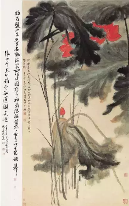 国画大师张大千 荷花作品欣赏