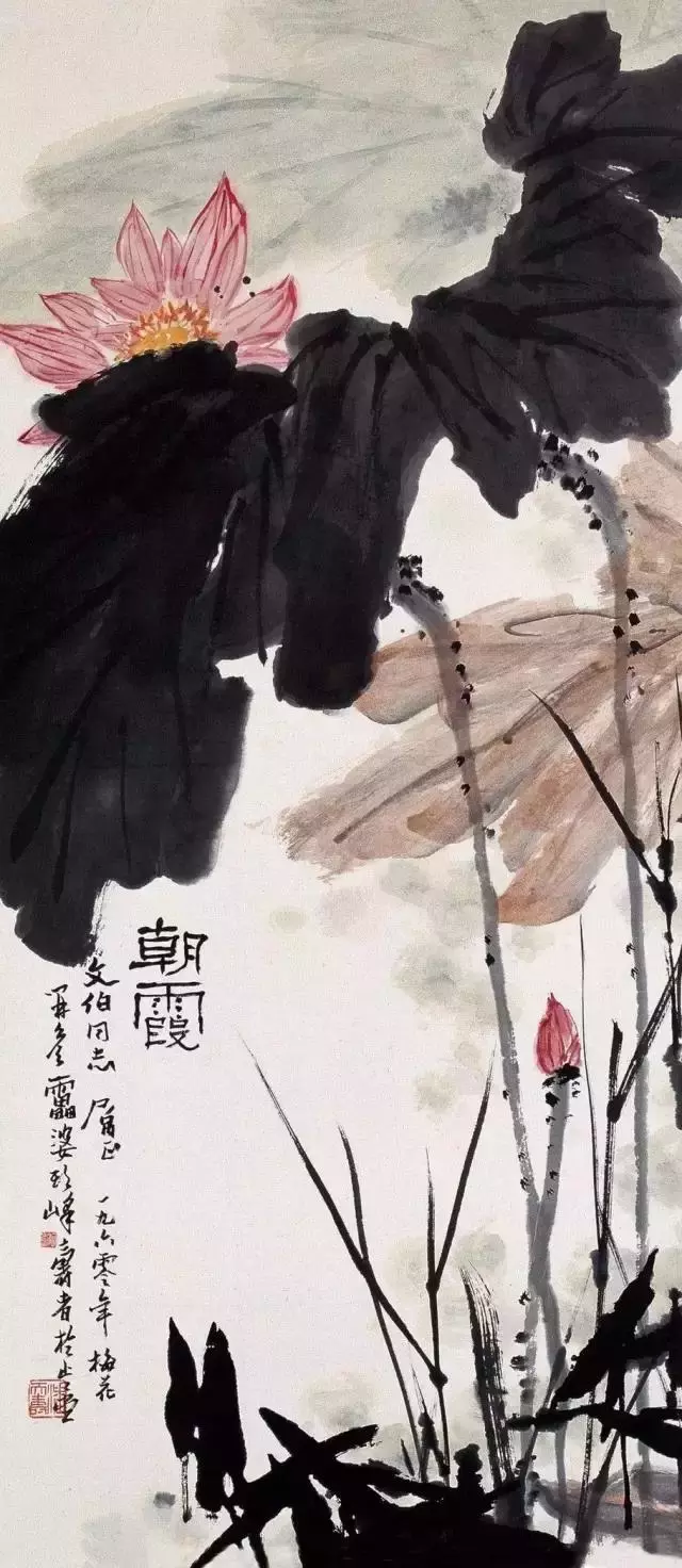国画大师潘天寿 荷花作品欣赏