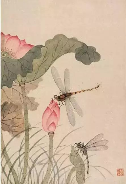 清代国画大师陈书 荷花作品欣赏