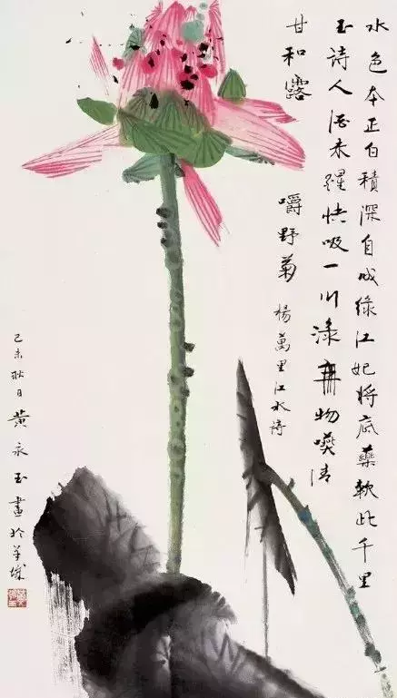 国画大师黄永玉 荷花作品欣赏