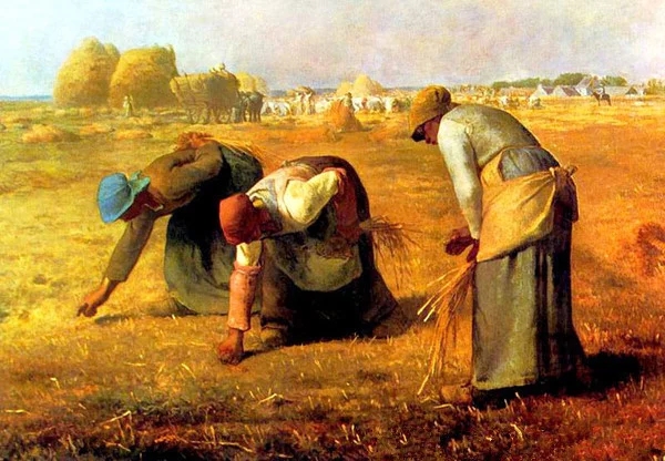 世界经典油画-米勒最重要的代表作《拾穗者》