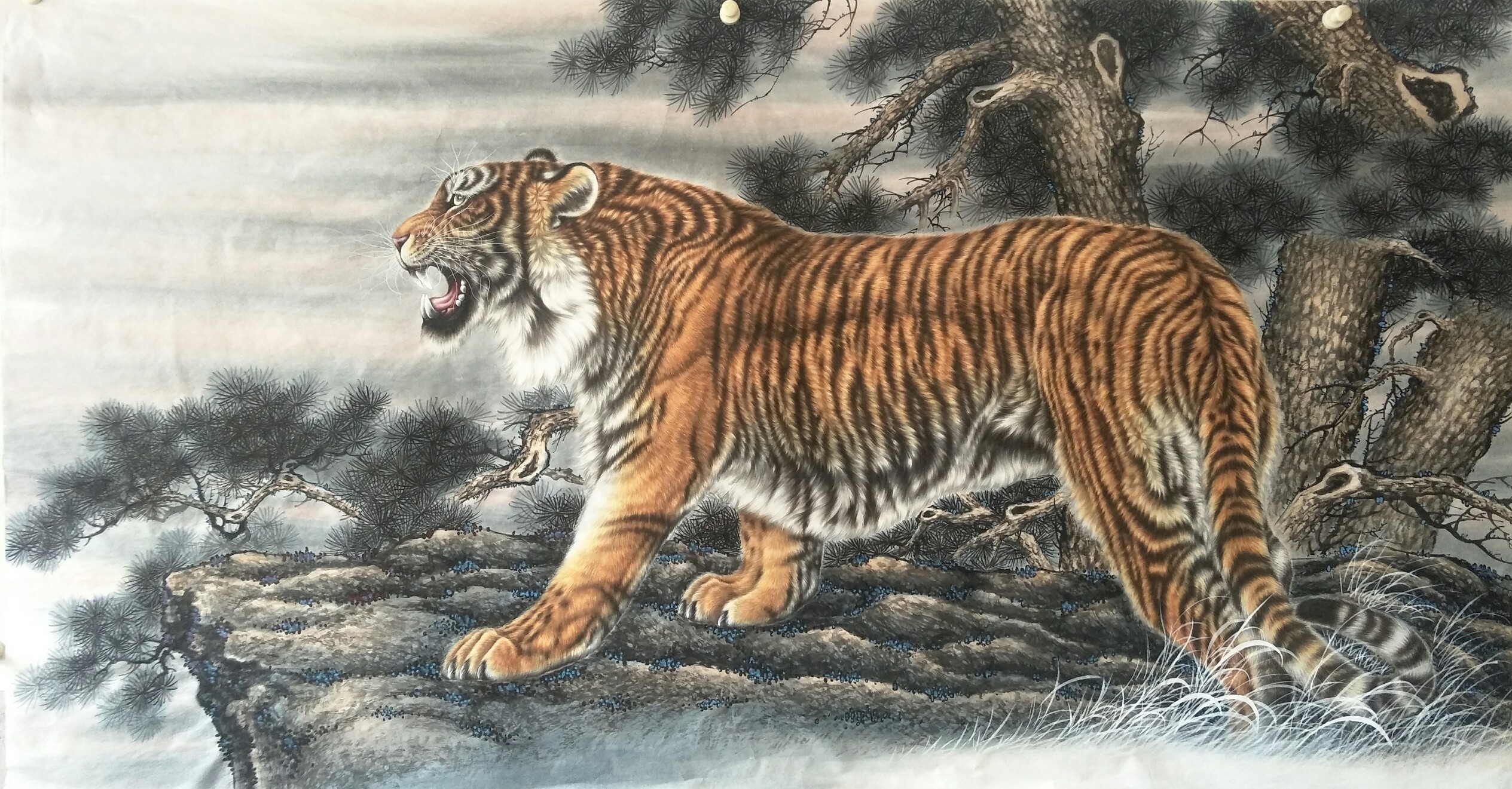 老虎写真壁纸_动物_太平洋科技