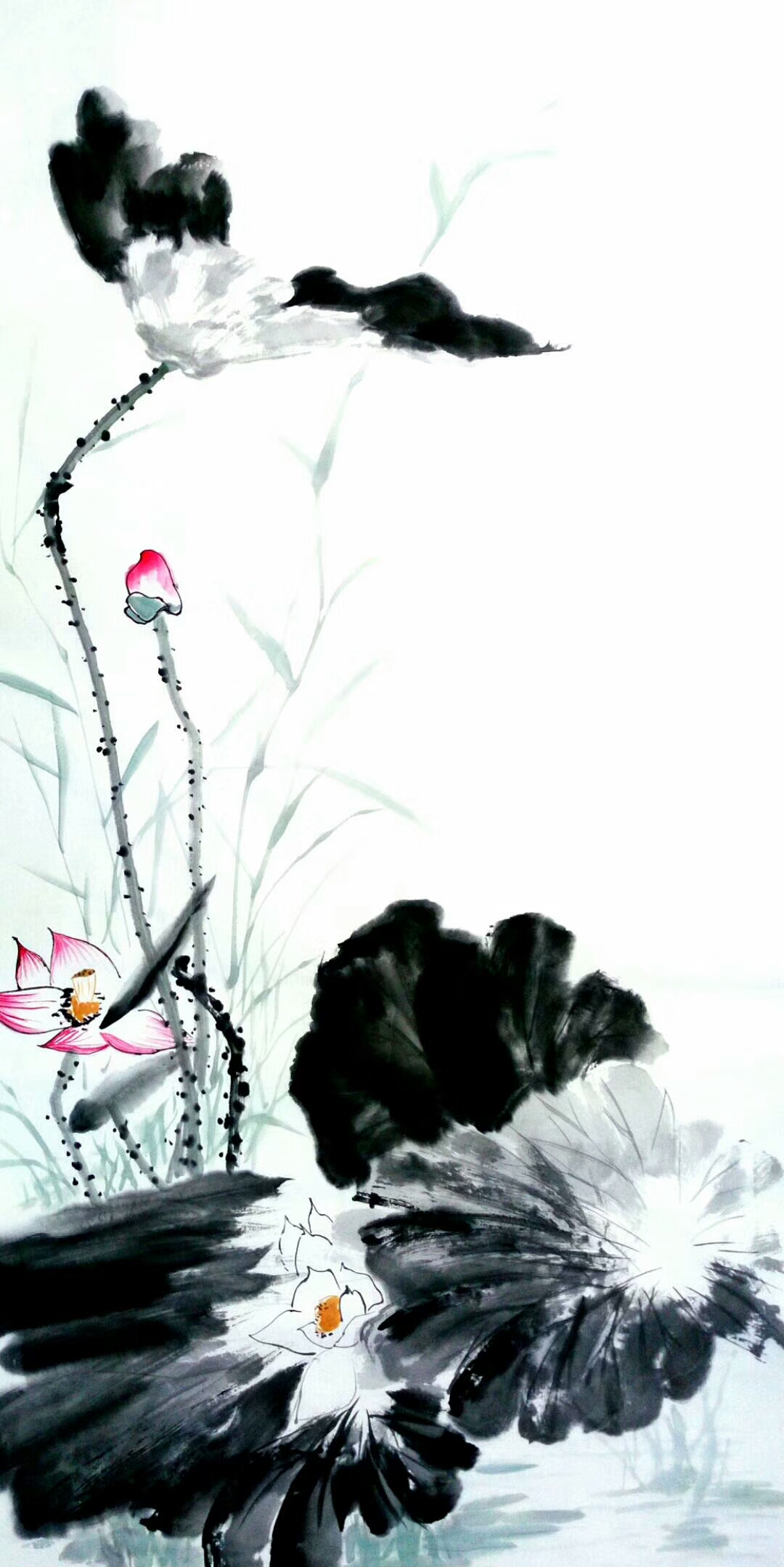 李牧日记:泉眼无声惜细流,树阴照水爱