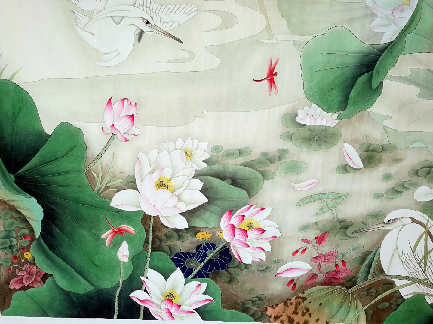 新作六尺荷花白鹭图胡记领