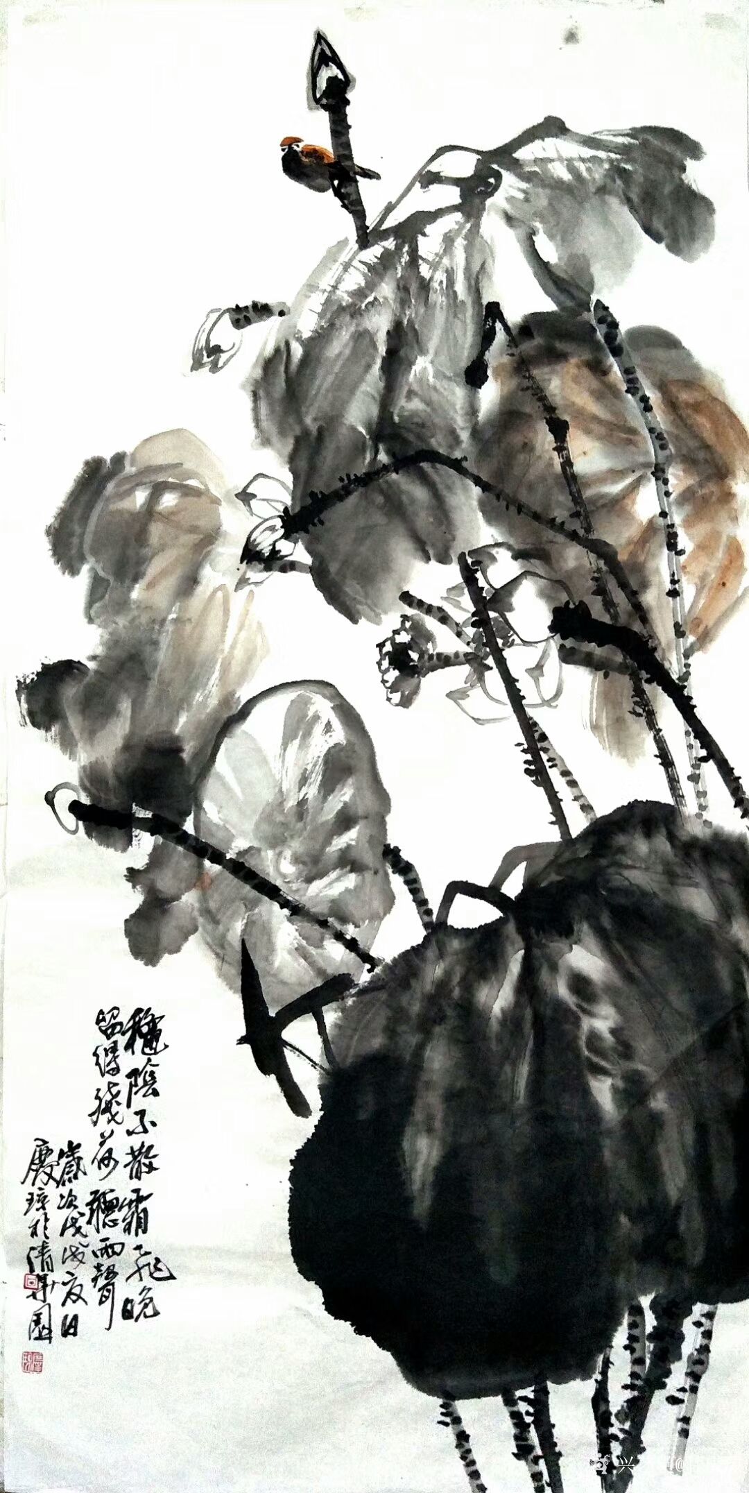 艺术家甘庆琼日记:国画花鸟新作《秋阴不散霜飞晚,留得残荷听雨声》