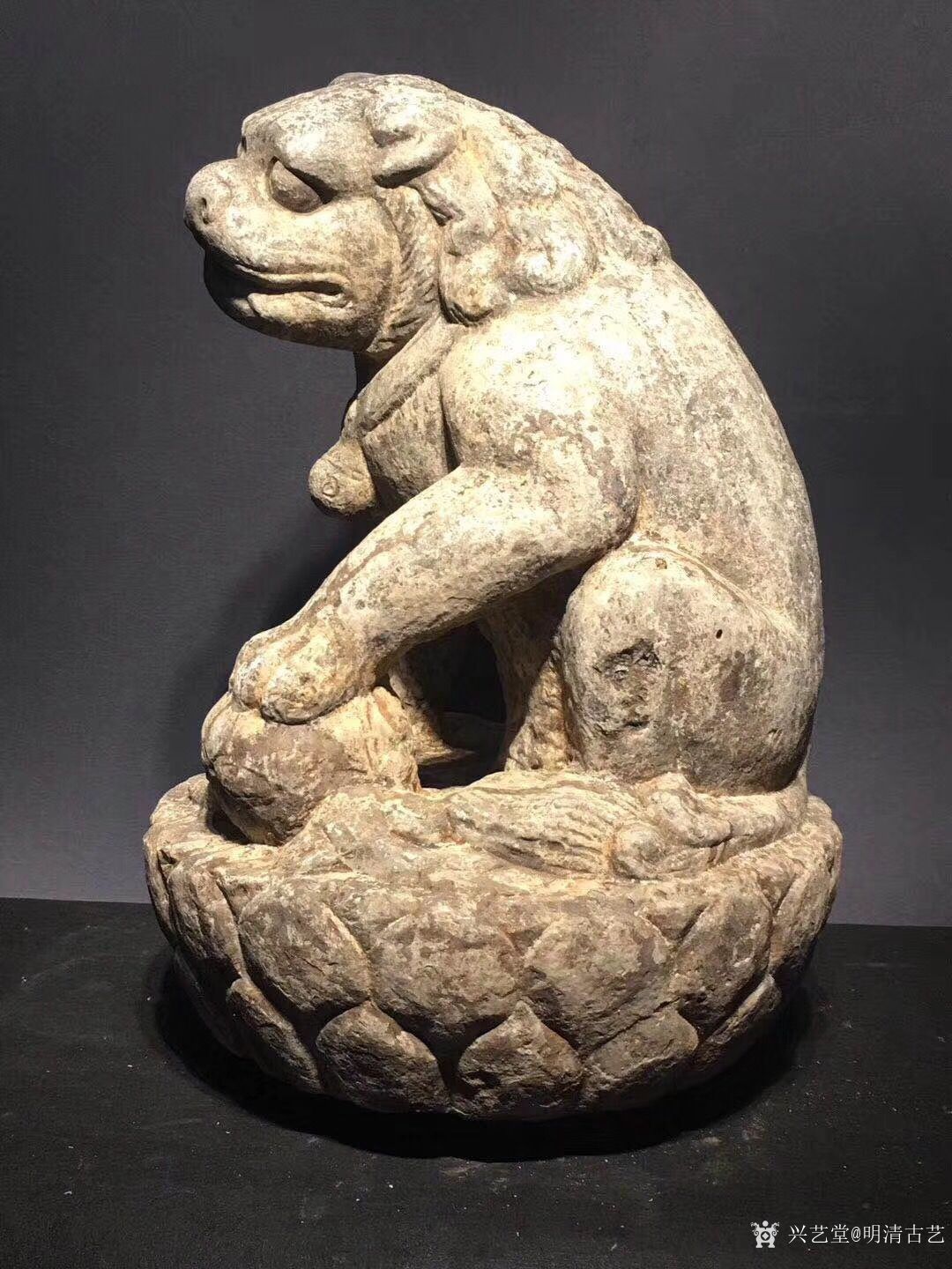 明清古艺收藏:石雕：瑞兽 瑞兽又称为祥瑞，神态威猛，蹲坐在莲花座上，威武_兴艺堂
