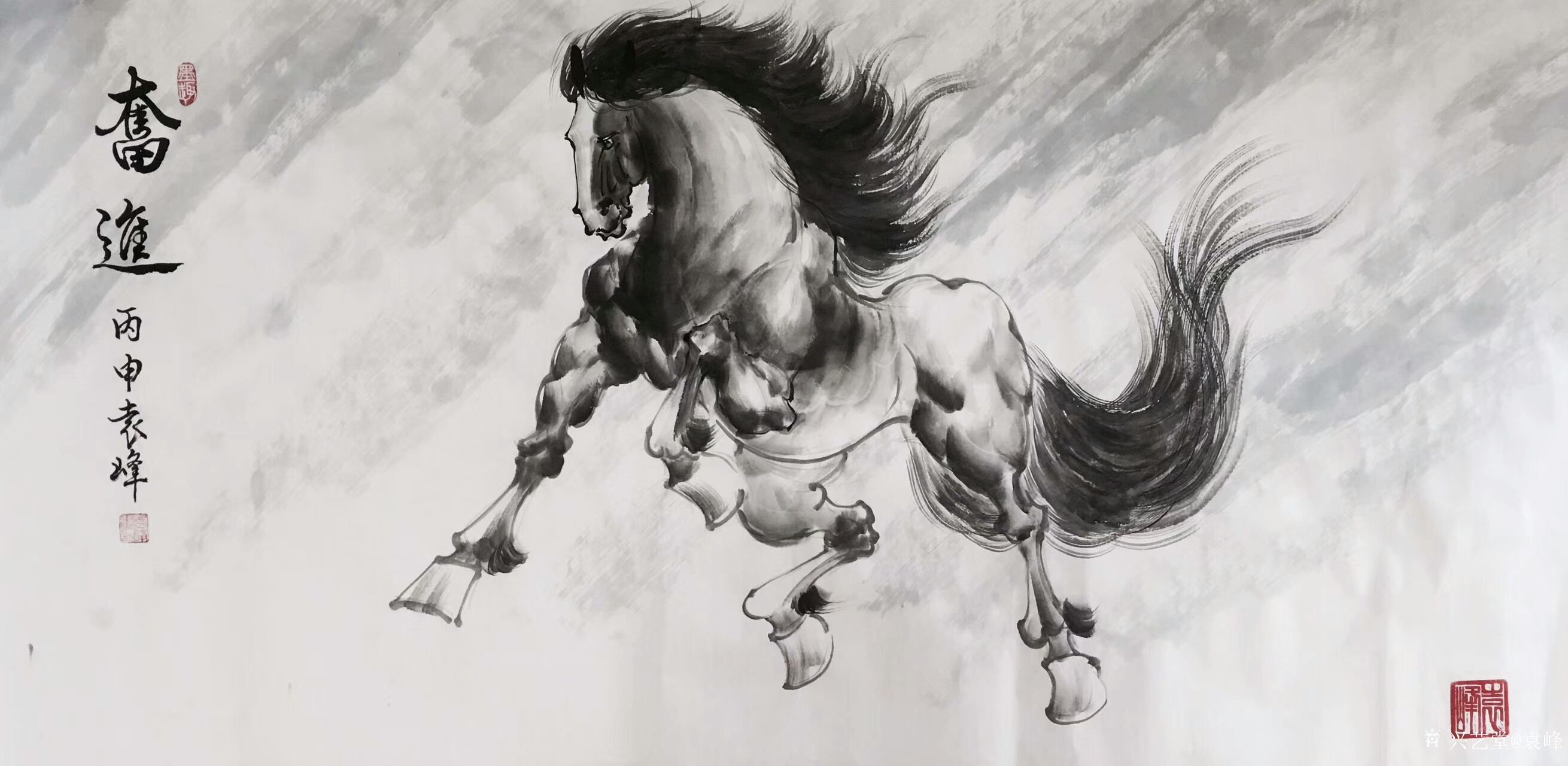 国画写意马作品欣赏