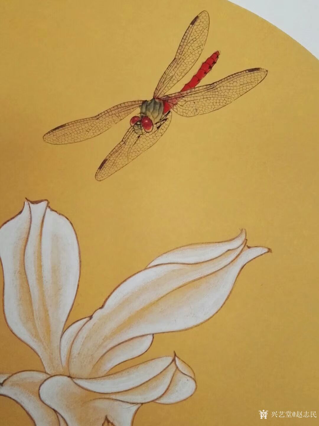 赵志民日记:工笔画小动物《蜻蜓飞上玉搔头》尺寸（33.33厘米），新作尚_兴艺堂