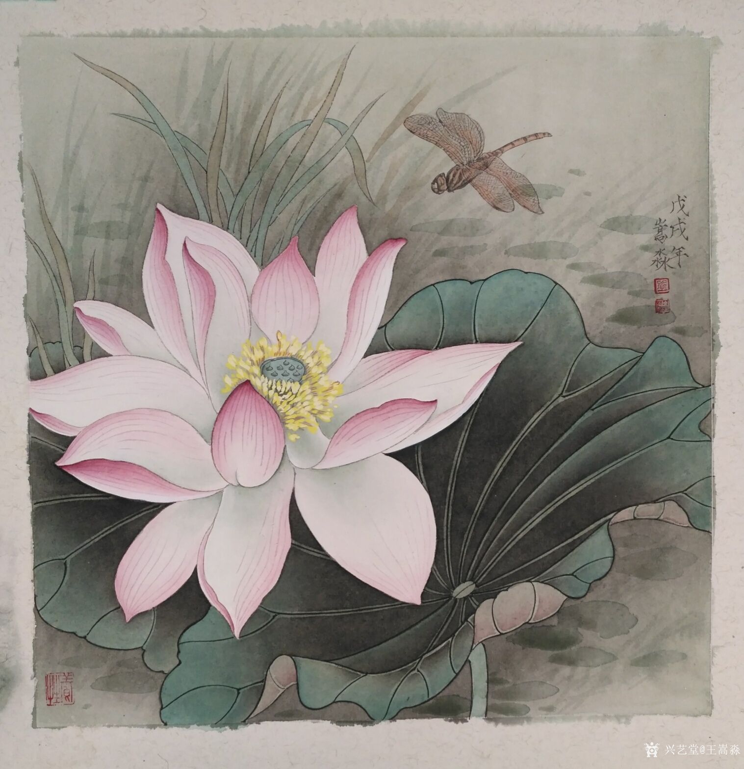 荷花是人们特别喜欢的一个花种,多少文人墨客赞美它,宋朝诗人杨万里的