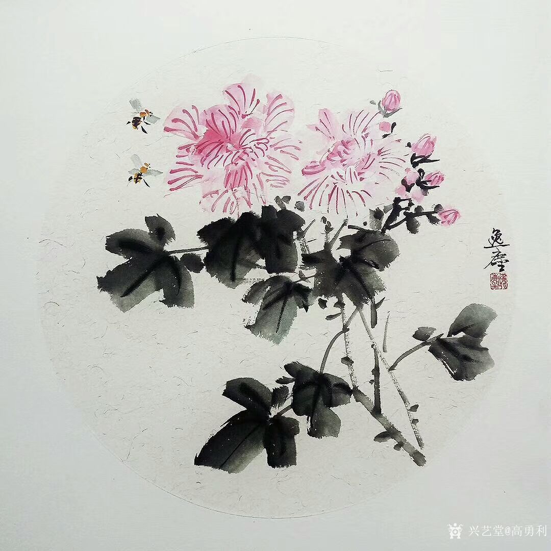 高勇利日记-国画花鸟小品一组《鸢尾》《紫藤》《卷丹》《凌霄》