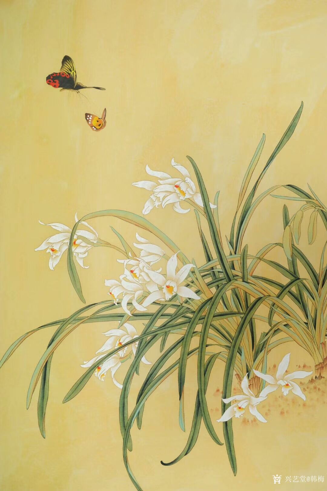 韩梅国画作品兰花