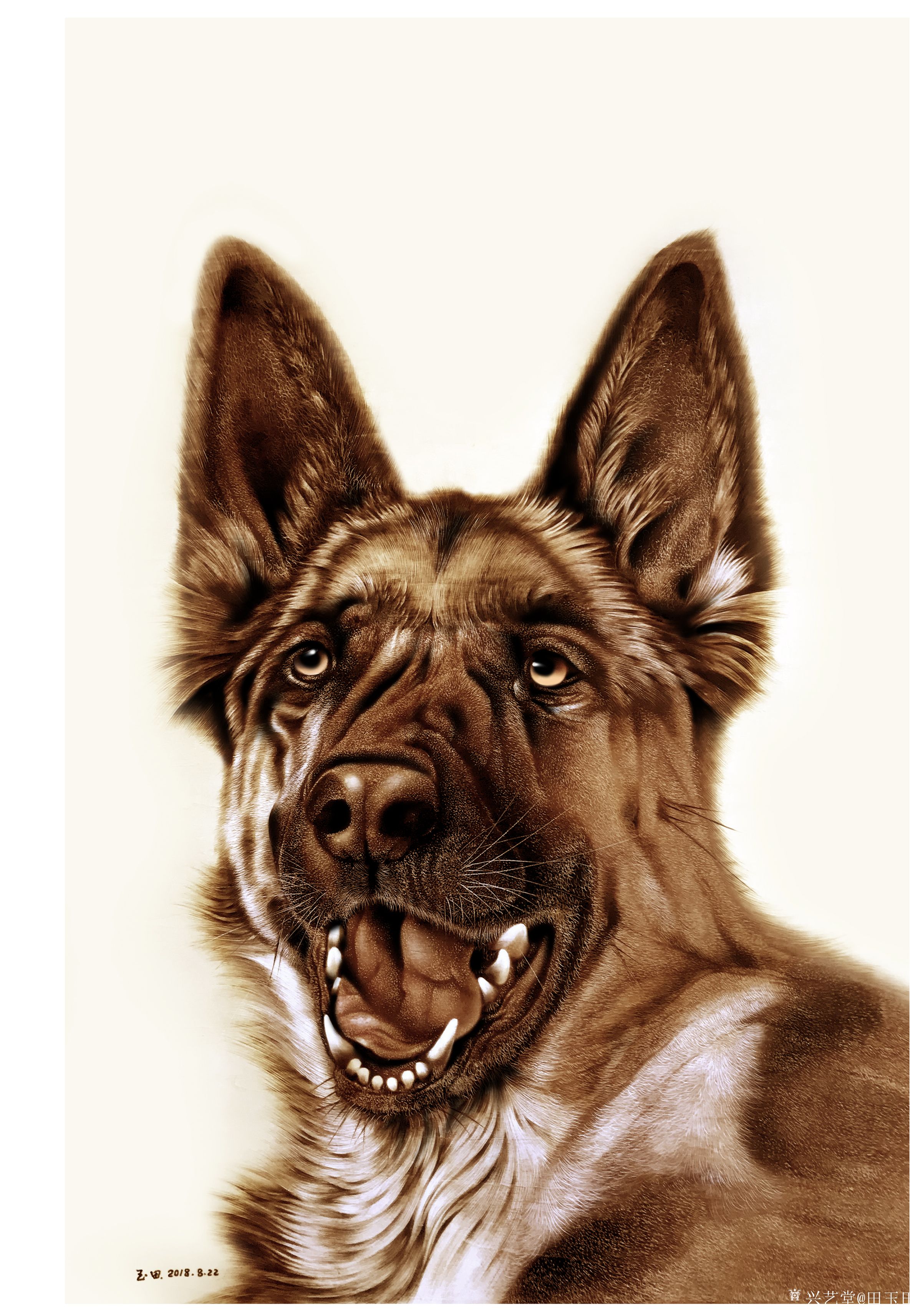 田玉田视频- br>8月22日完成的烙画新作《神犬》,尺寸60x80cm,分享