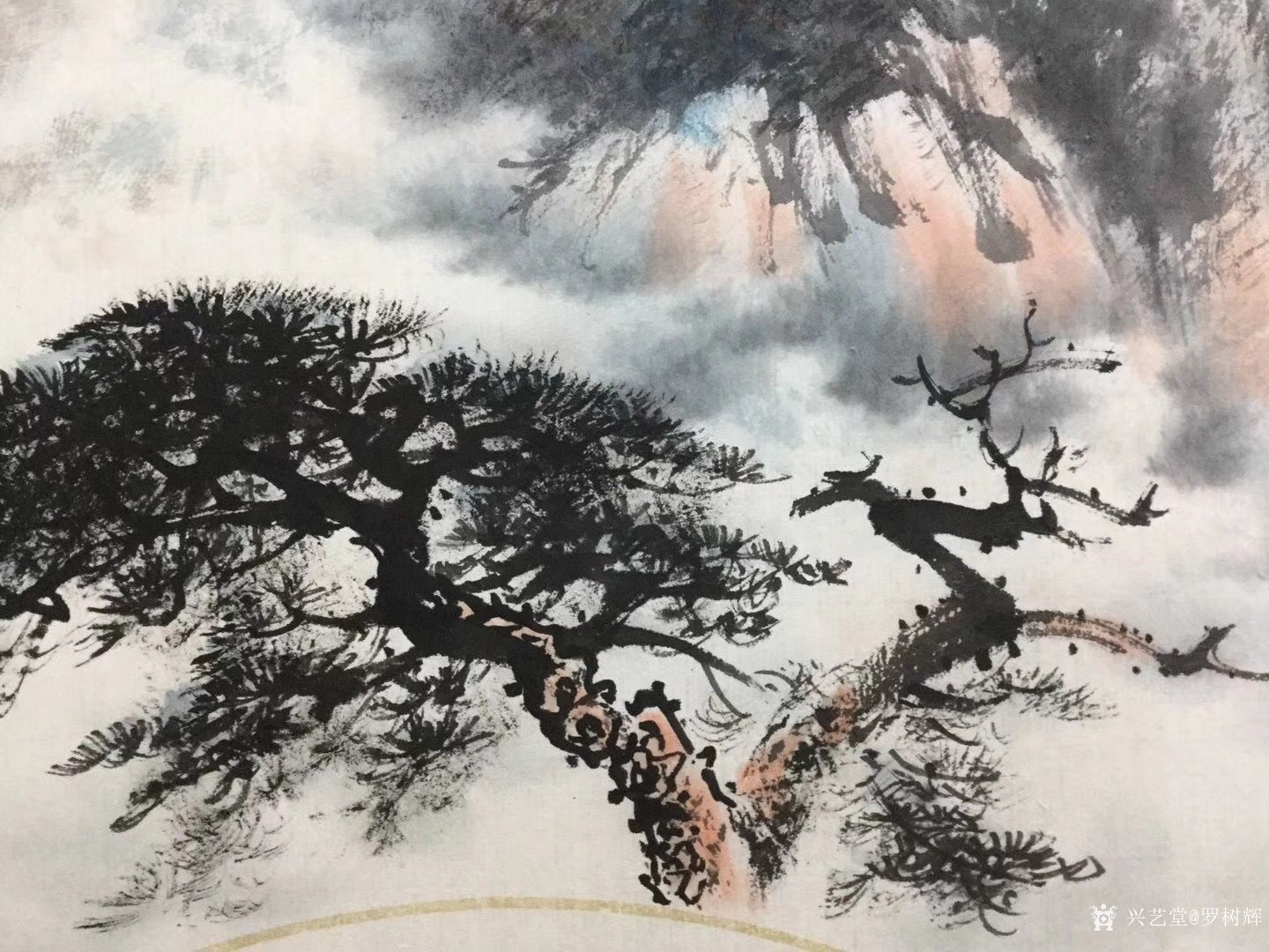 罗树辉日记:新创作扇面《远观》,国画苍松,请欣赏_兴艺堂